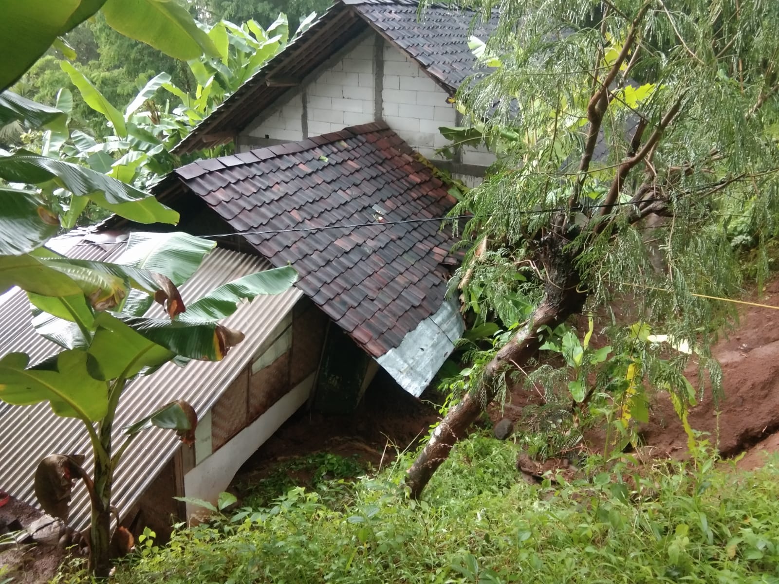 Curah Hujan Cukup Tinggi, Terjadi Longsoran Beberapa Titik di Giripurwo